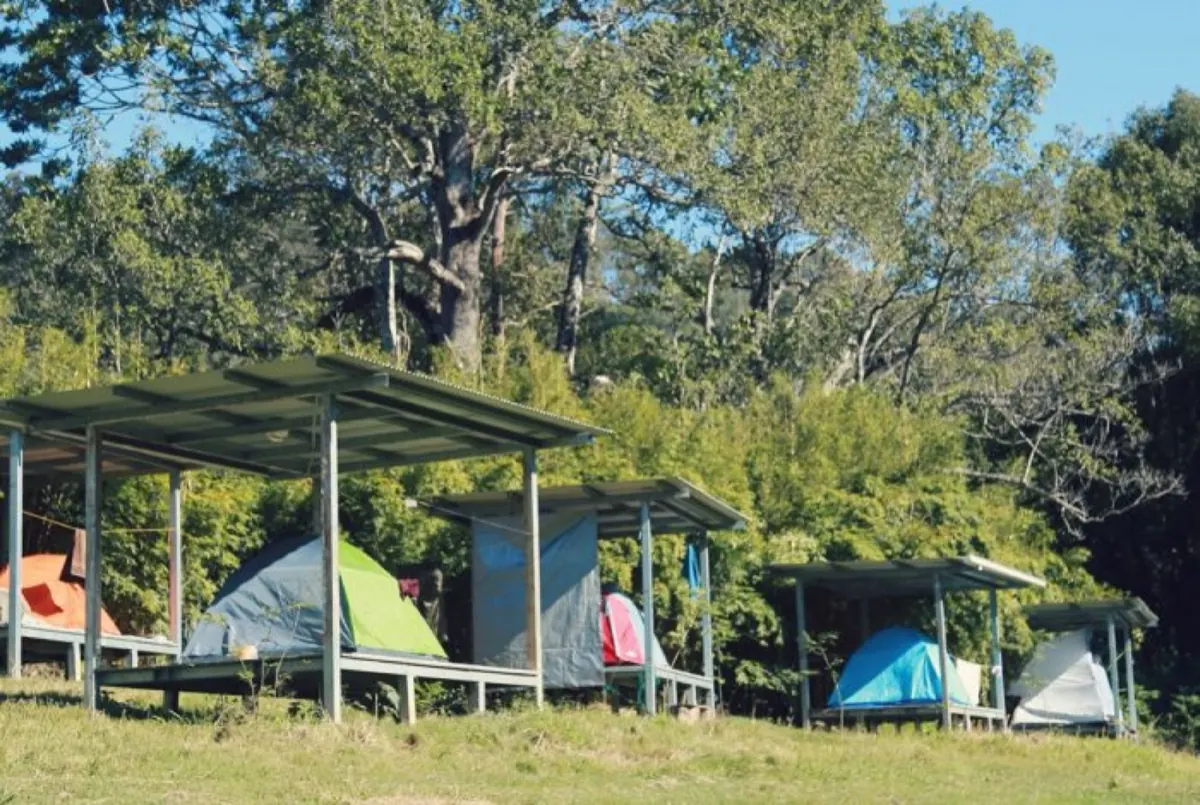 Raised camping platforms with tents on the farm