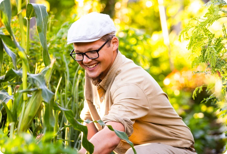 Sam crouching among tall corn plants